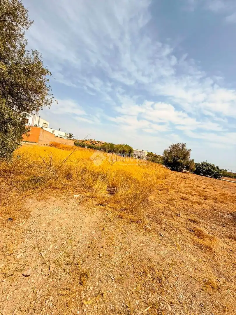 Rural land for sale in Turre