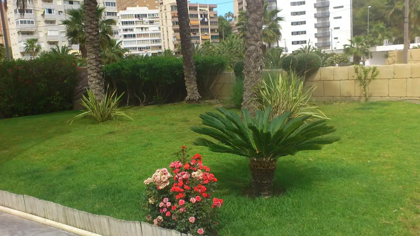 Garten von Wohnung zur Miete in Villajoyosa / La Vila Joiosa mit Terrasse, Möbliert und Gemeinschaftspool