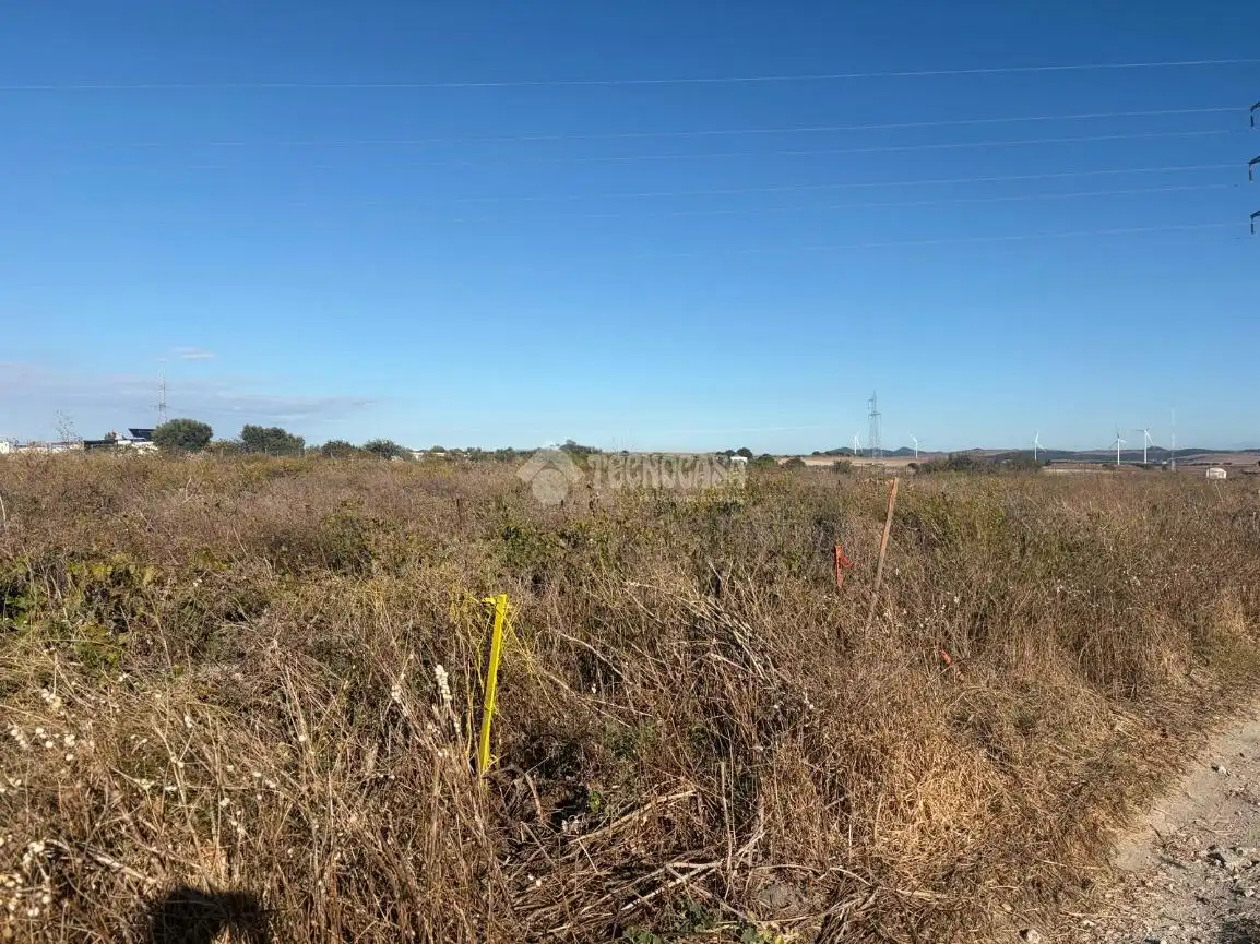 Terreno rústico en venta en Los Franceses – La Vega, imagen 12