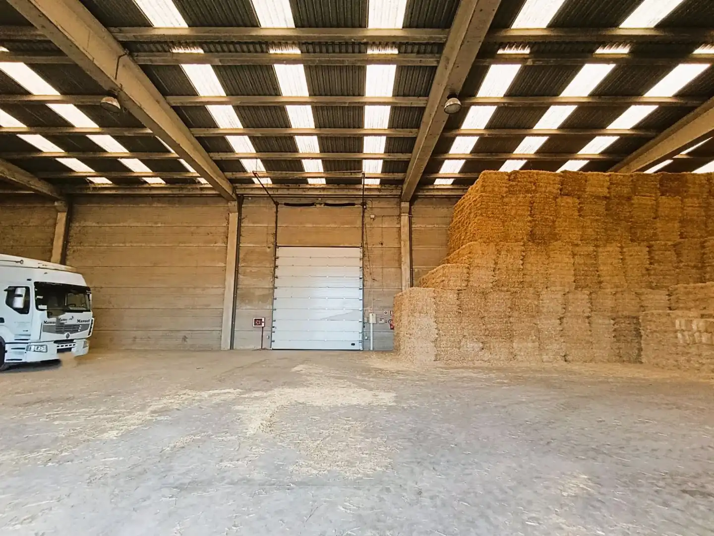 Nave industrielle à vendre à San Isidro - Campohermoso, imagen 2