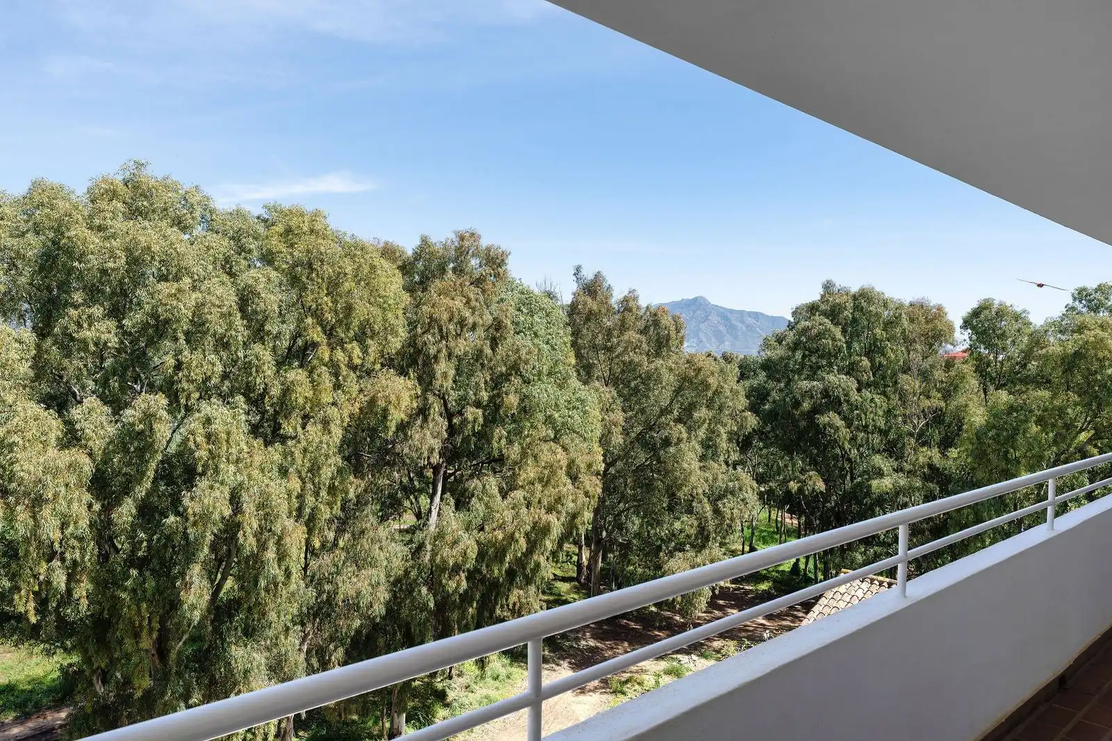 Piso con piscina en venta en Benamara - Atalaya, imagen 15