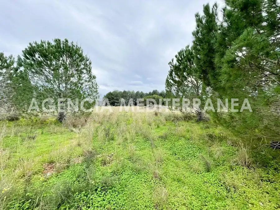 Terreny residencial en venda a Beniarbeig, imagen 6