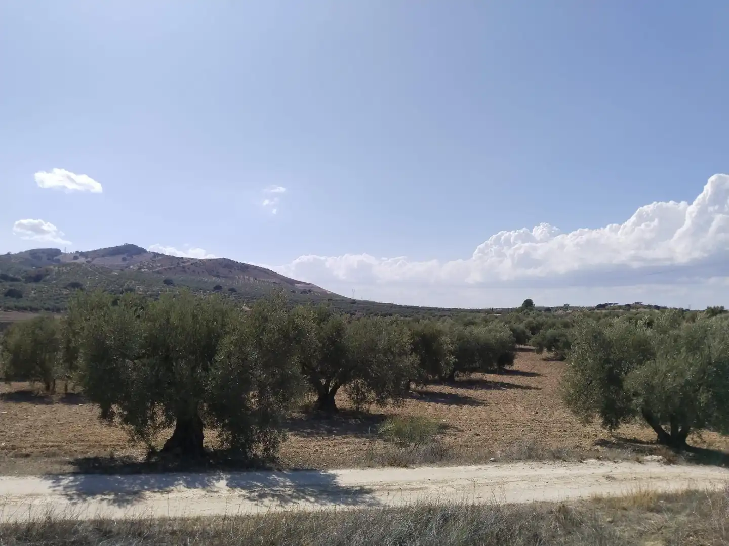 Terrenys i solars en venda a Centro, imagen 3