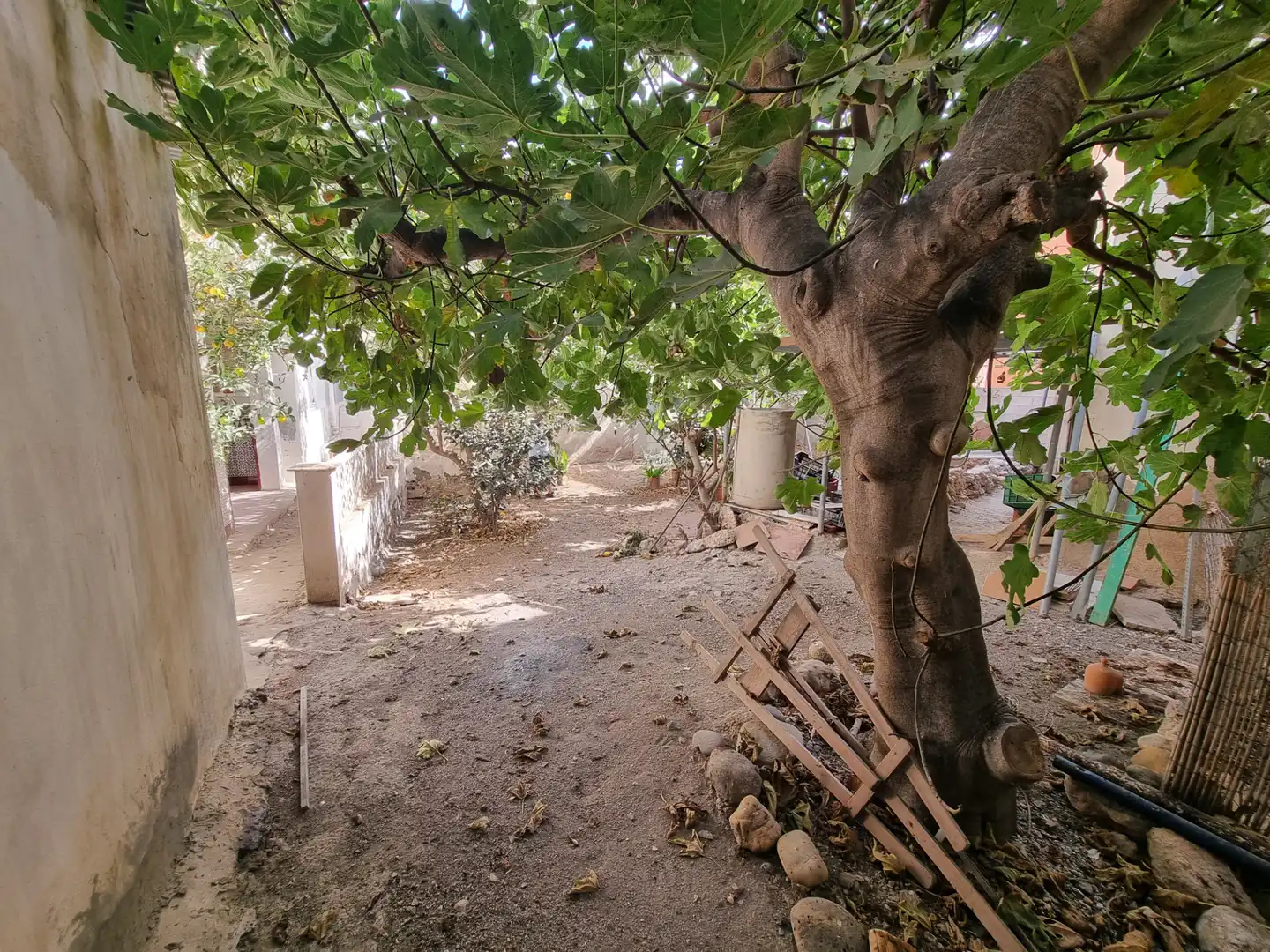 Jardí de Casa o xalet en venda en Almería amb Jardí privat, Terrassa i Moblat