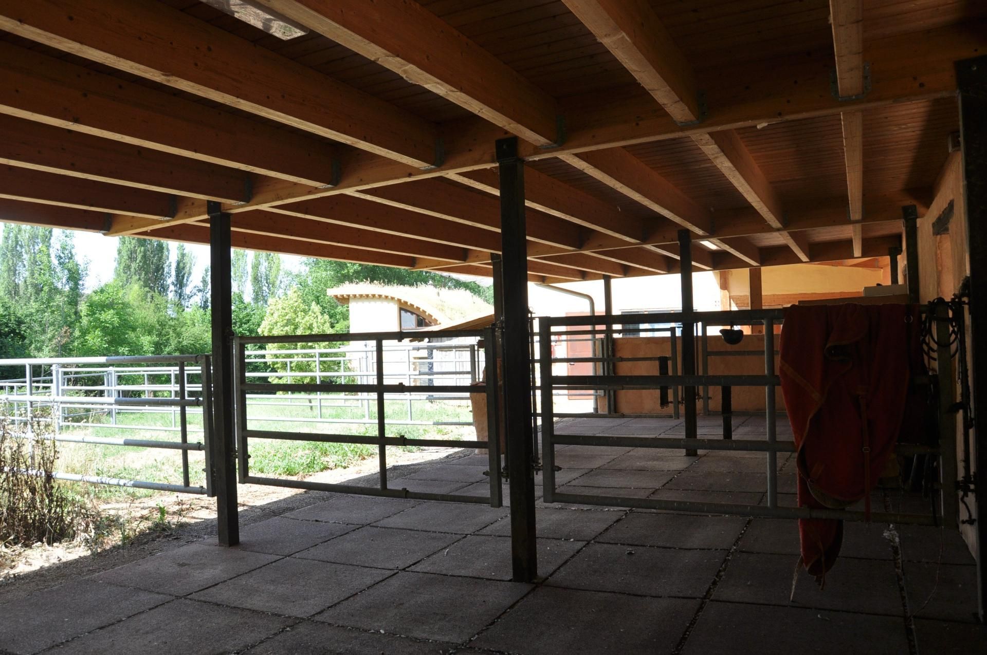 Vista exterior de Finca rústica en venta en Sigüenza