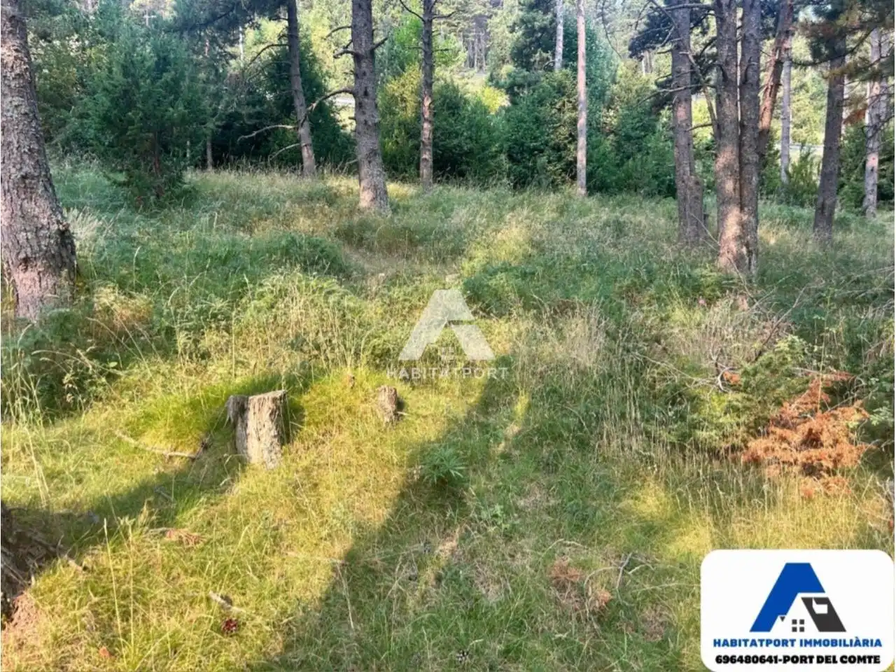 Terreny residencial en venda a La Coma i la Pedra