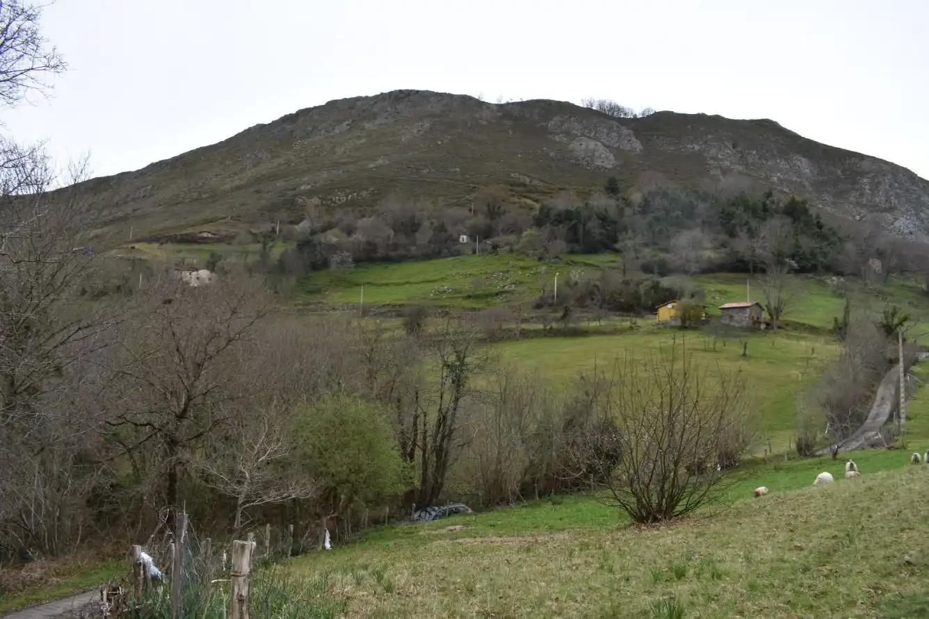 FINCA EDIFICABLE A 15 KM DE CANGAS DE ONIS, imatge 5