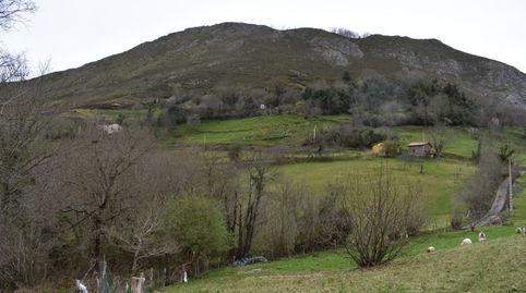 FINCA EDIFICABLE A 15 KM DE CANGAS DE ONIS, imatge 5