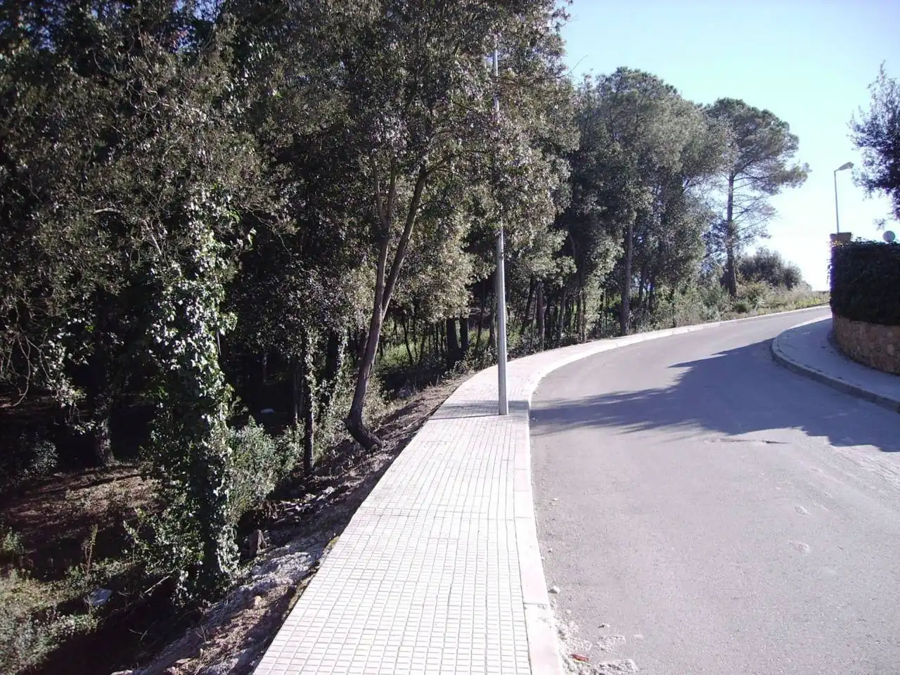 Terreny residencial en venda a Calle Les Alzines 8 Bis, imagen 17