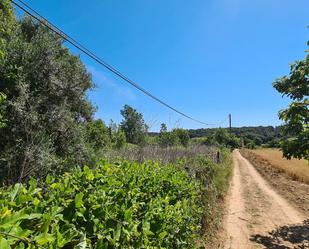 Residencial en venda en Sant Miquel de Fluvià