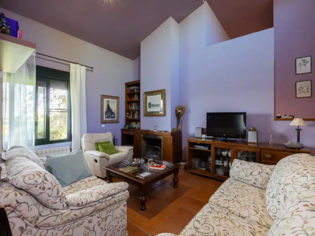 Sala de estar de Casa o chalet en venta en Villaviciosa de Odón