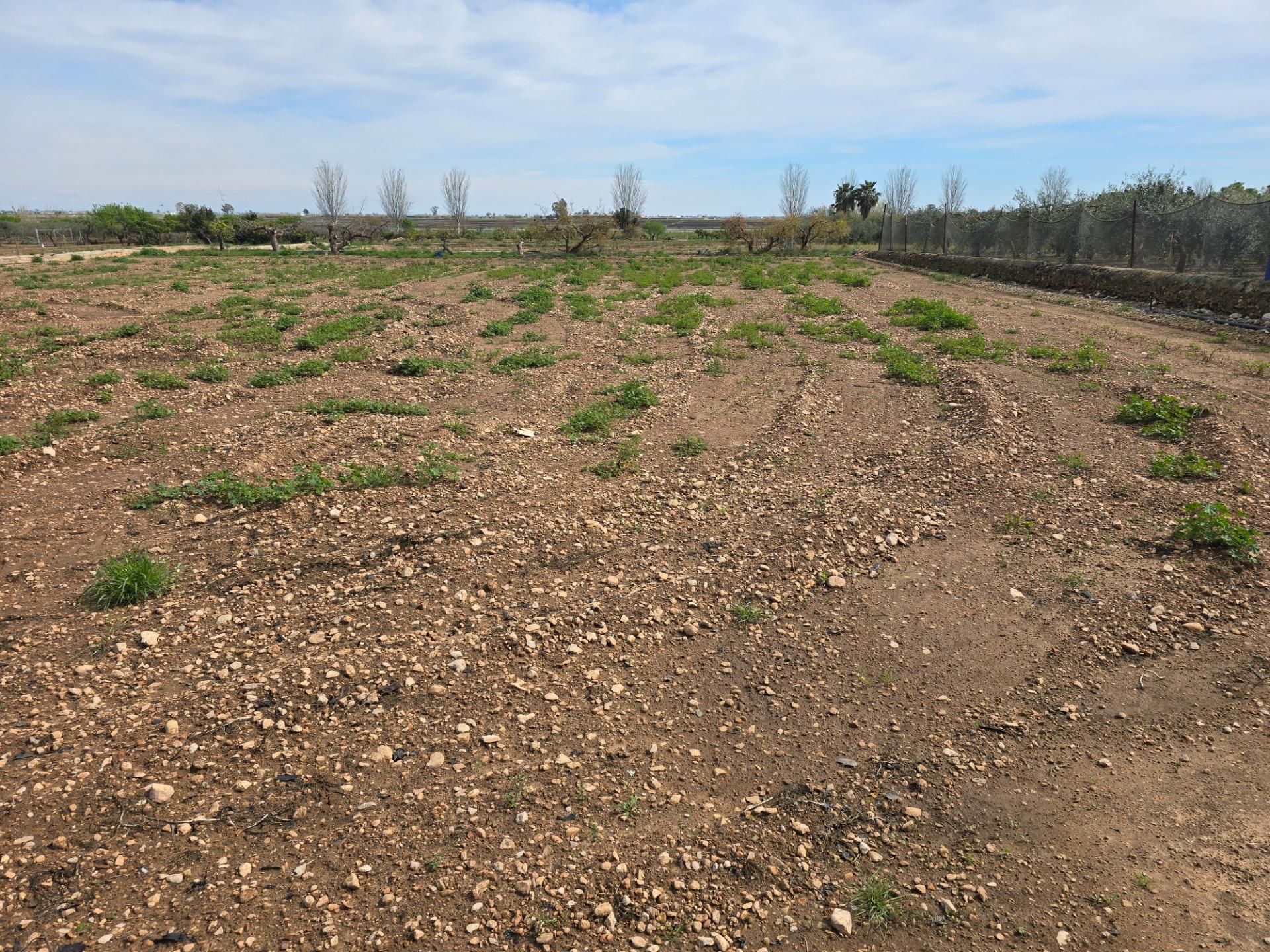 Finca rústica en venta en Casc Antic