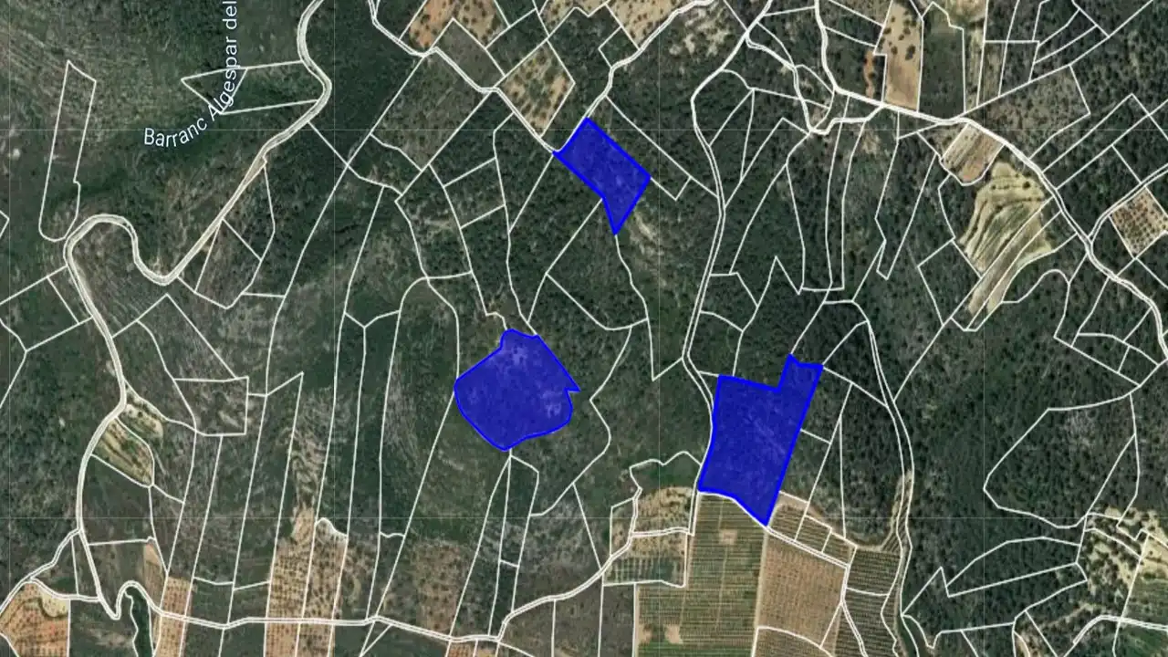 Rural land for sale in Ptda San Miguel, Timba y Palillo