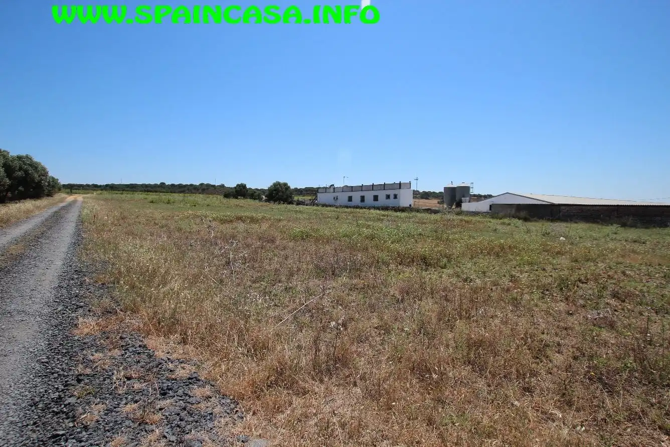 Terrenos y solares en venta en Núcleo urbano