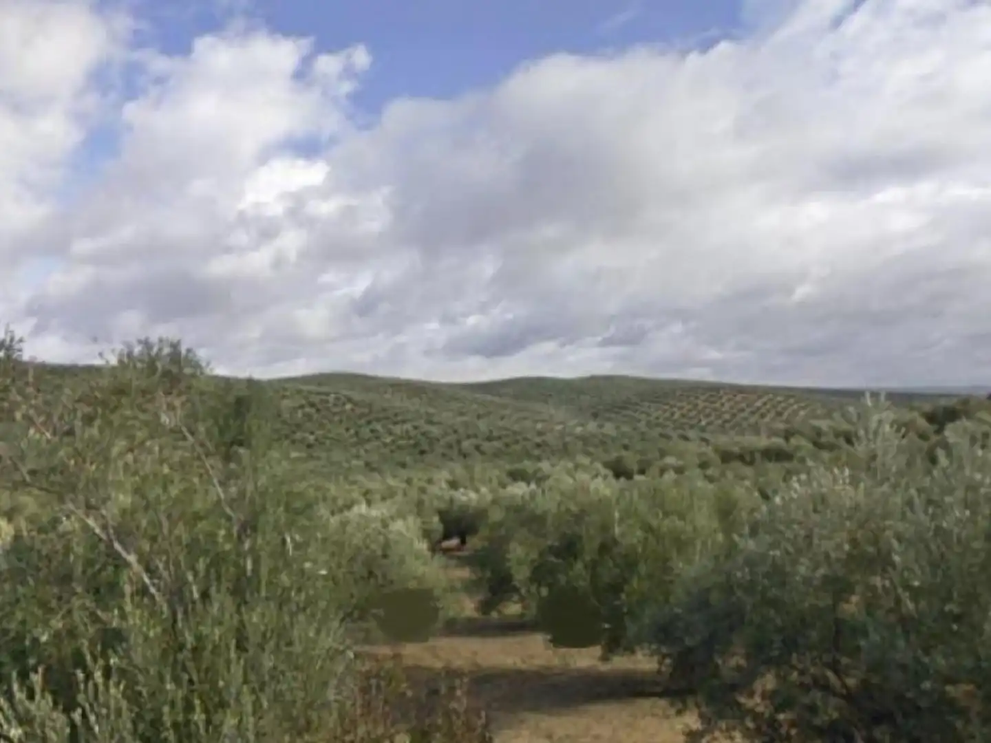 Terreno en venta en Bujalance