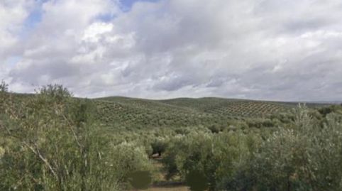 Foto 3 von Grundstücke zum Verkauf in Bujalance, Córdoba