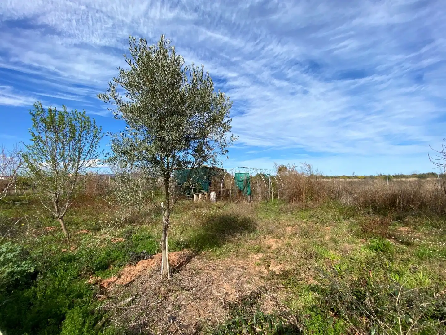 Terreno en venta en Vila-real
