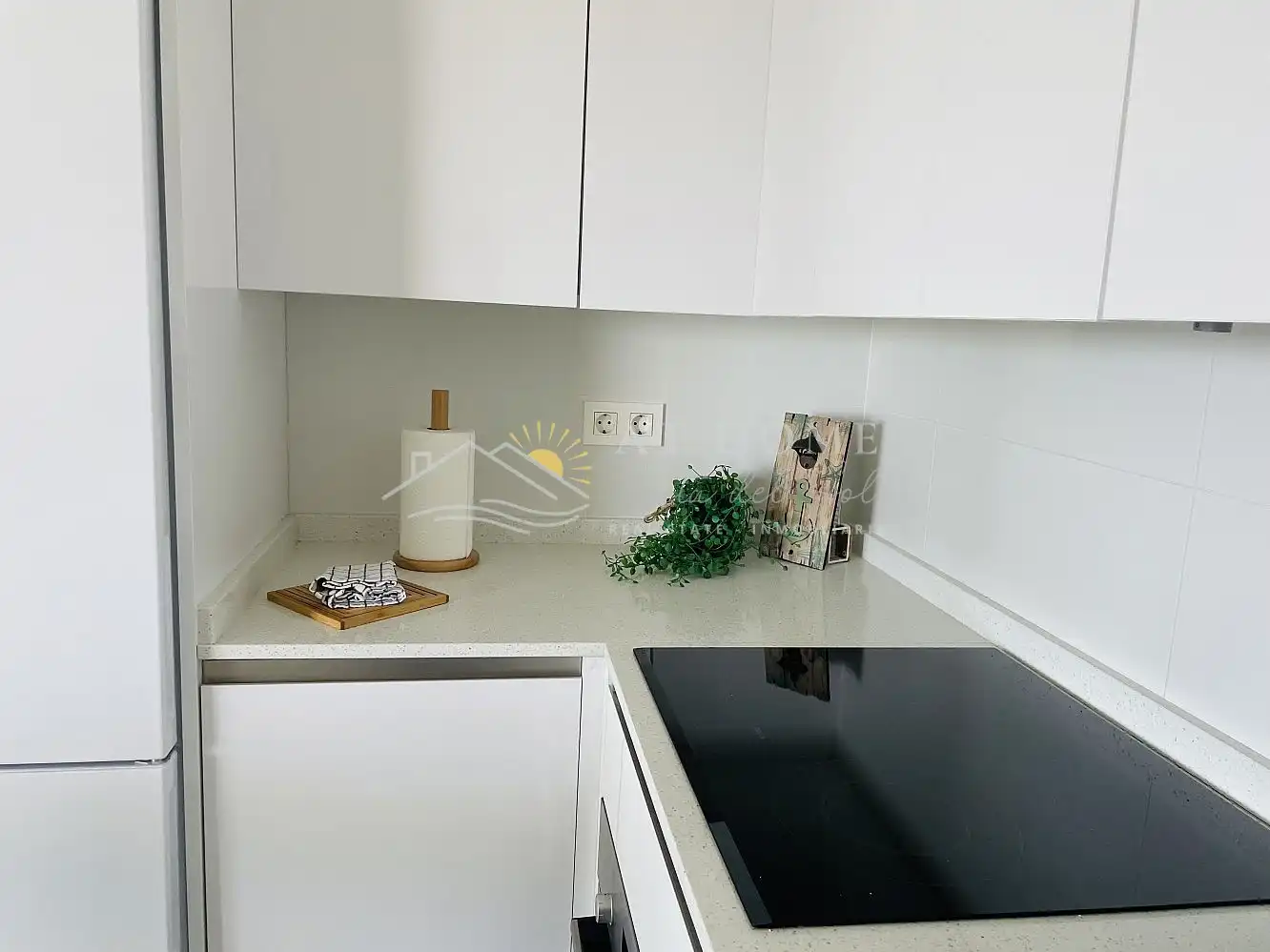 Apartments for rent in El Morche