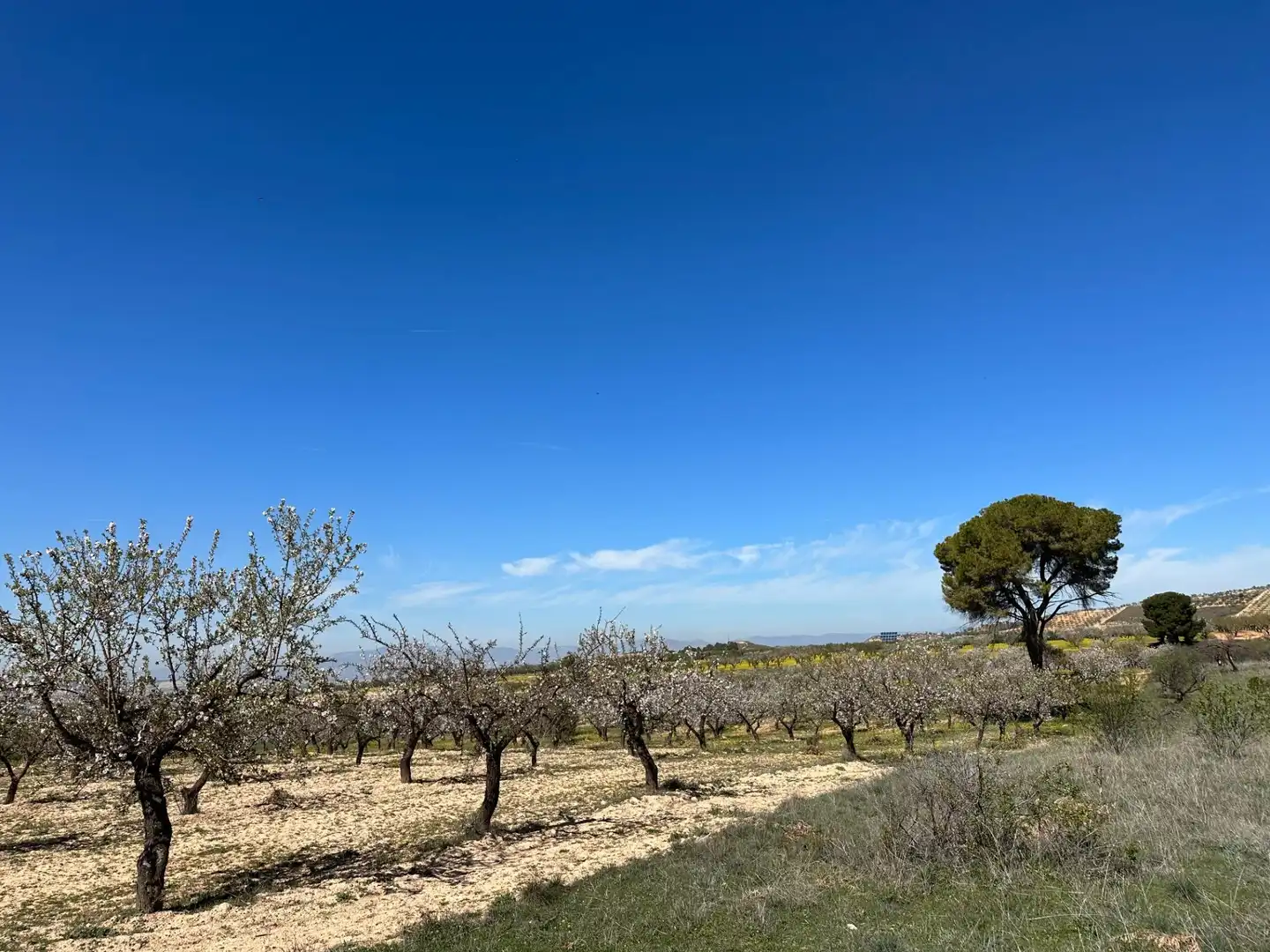 Terreny rústic en venda a Dílar, imagen 26