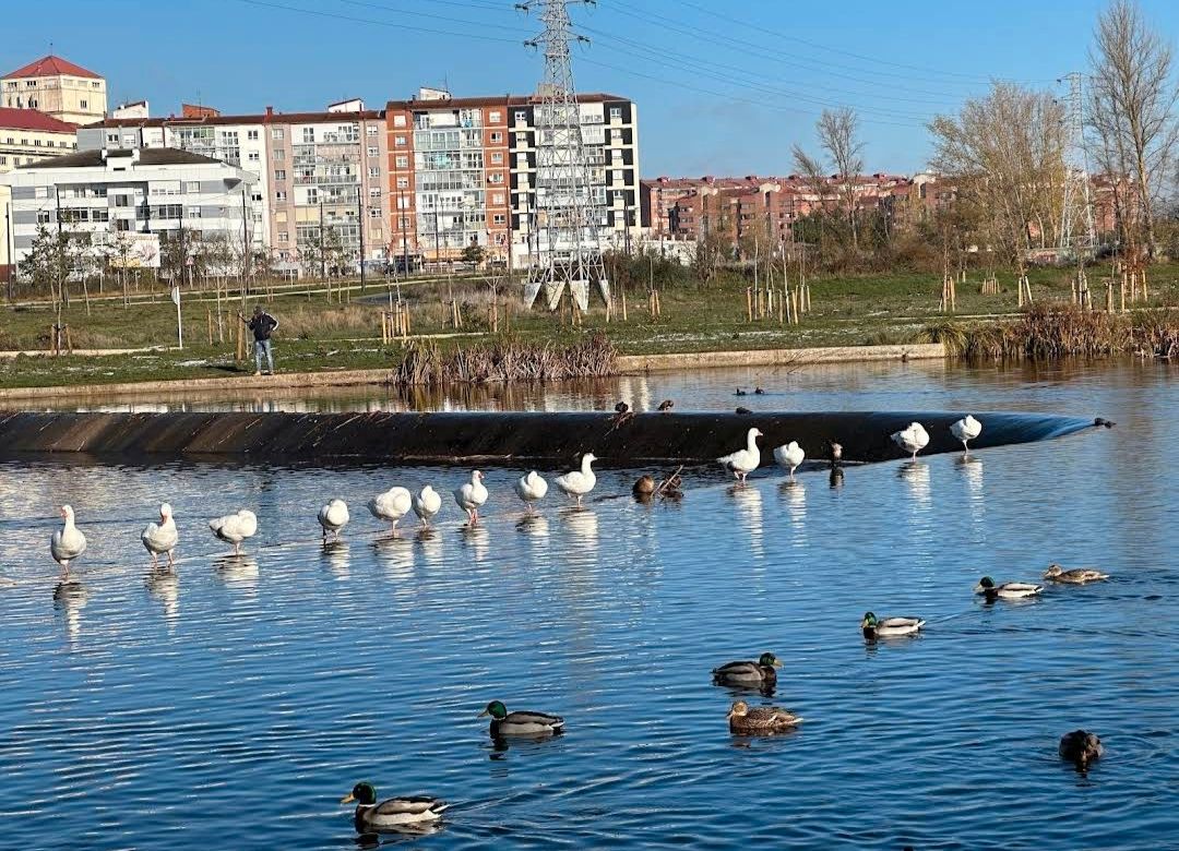 Pis en venda a Gamonal - San Bruno - G9