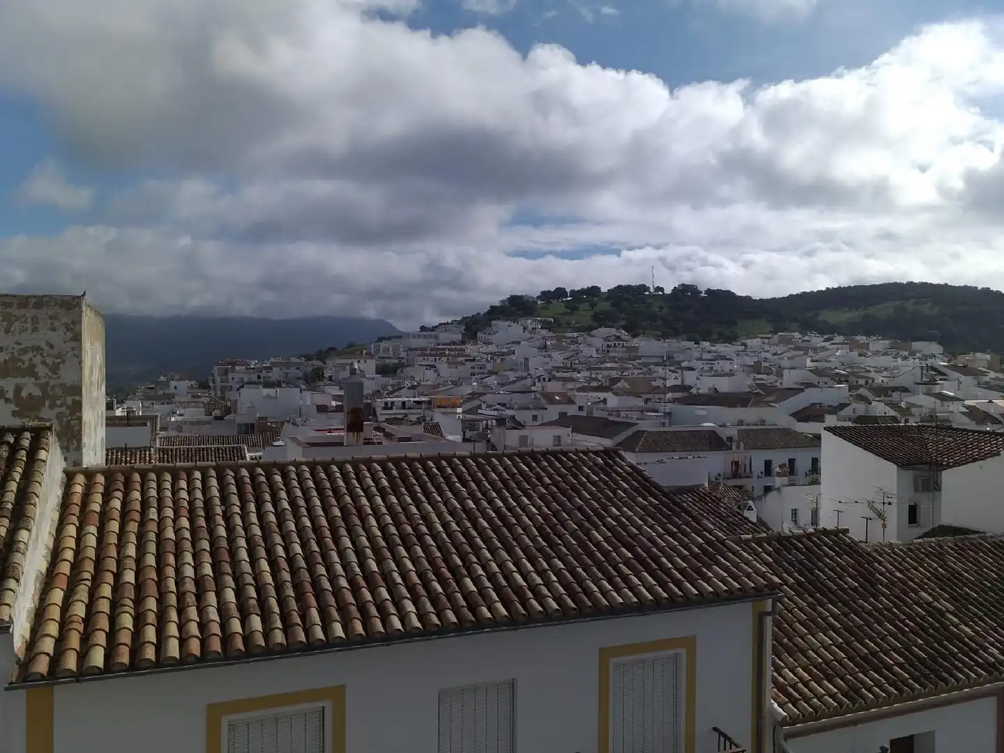 Vista exterior de Piso en venta en Prado del Rey con Terraza