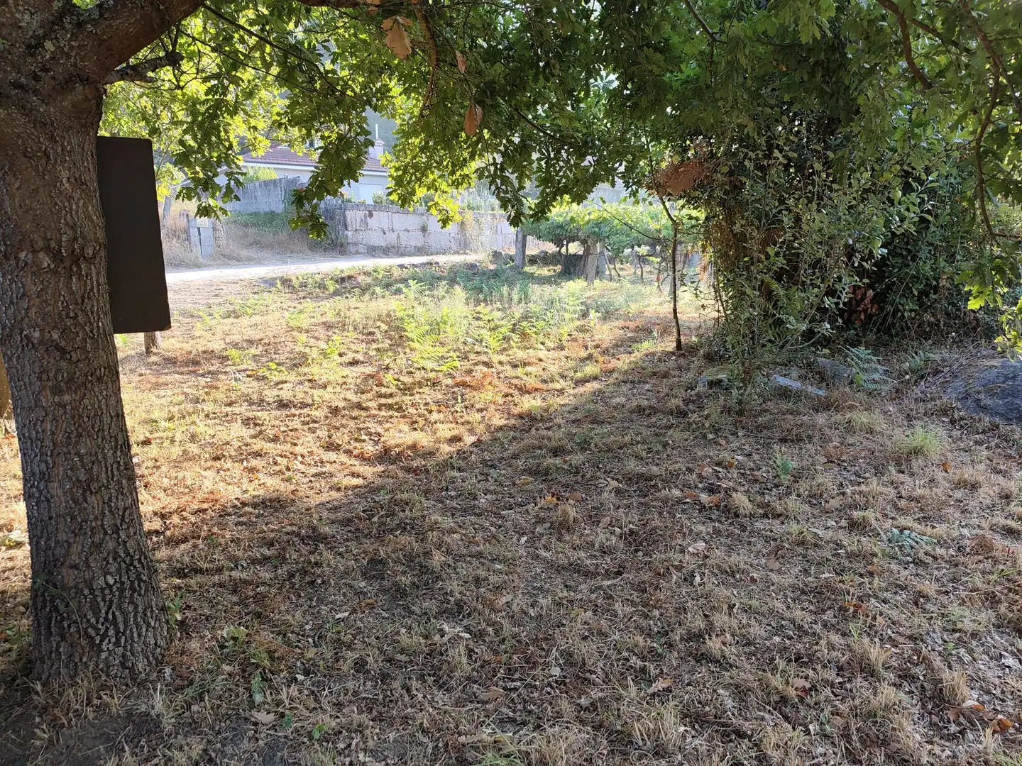 Terreny residencial en venda a Barrio Rabadáns Alxén Campo