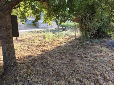 Terreny residencial en venda a Barrio Rabadáns Alxén Campo