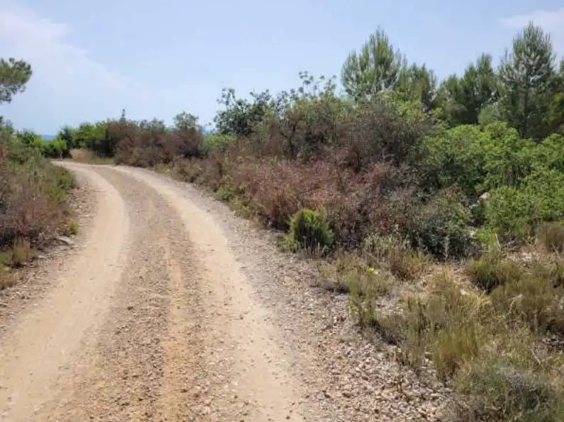 Rural land for sale in Partida de Viñamalata, imagen 9