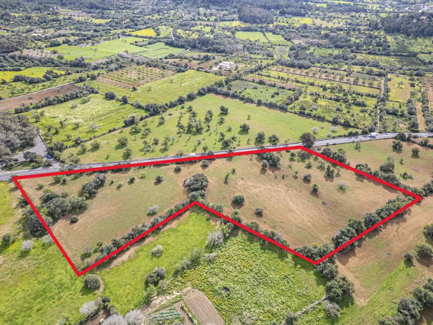 Rural land for sale in Felanitx Poble, imagen 2