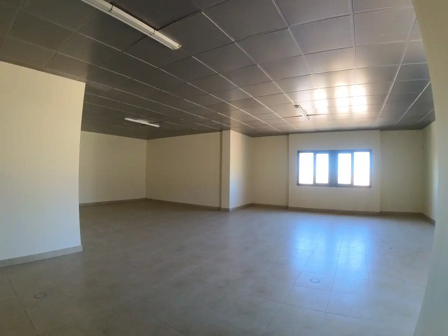 Office space with lift for sale in El Ejido Ciudad, imagen 13