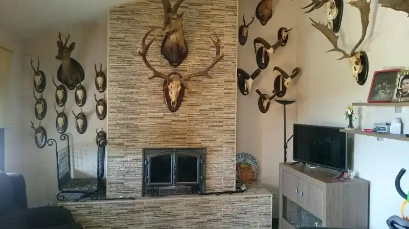 Living room of Land for sale in Salorino