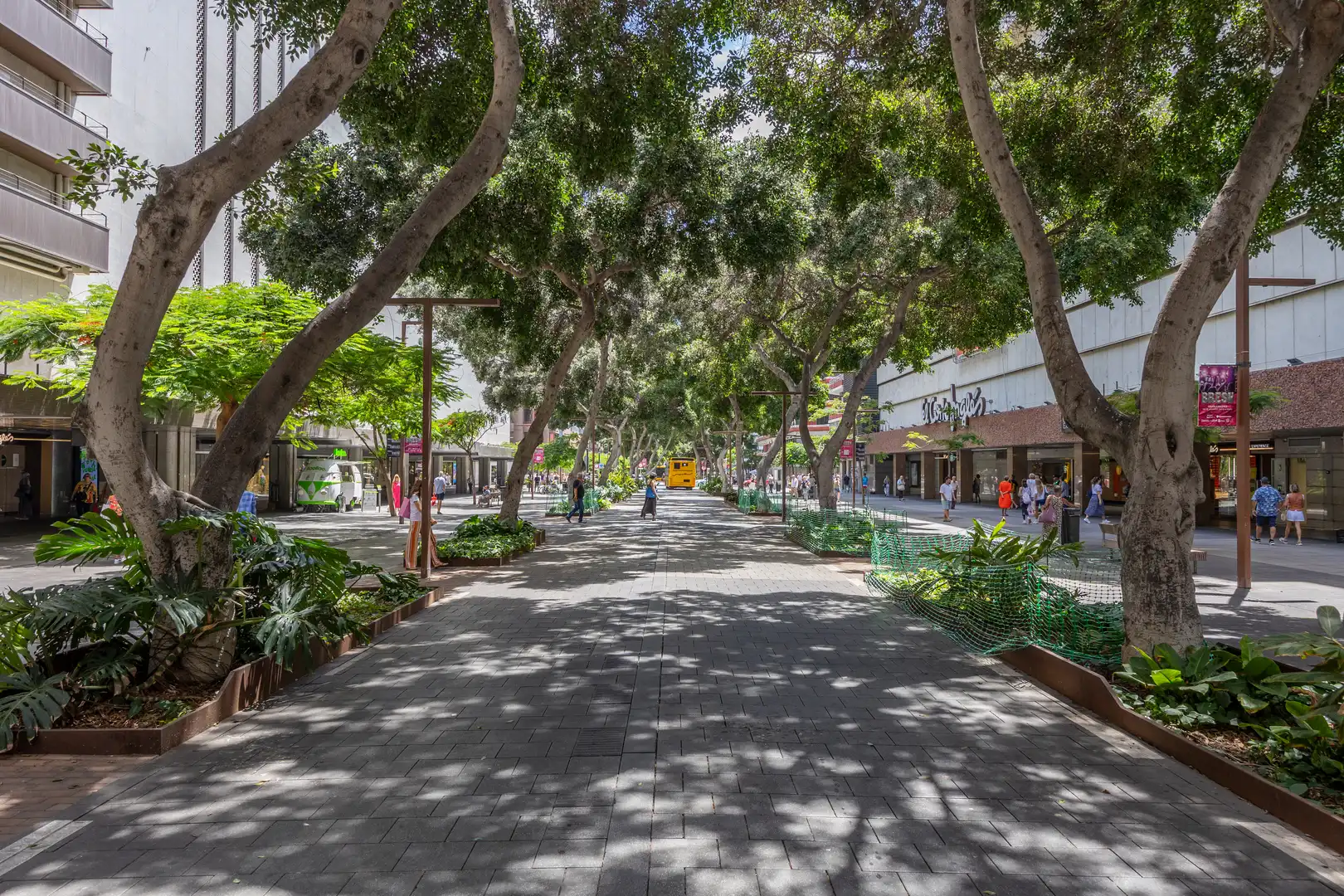 Exterior view of Flat for sale in Las Palmas de Gran Canaria  with Terrace, Storage room and Balcony
