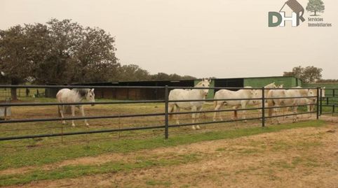 Foto 4 de Residencial en venda a Mejostilla, Cáceres Capital