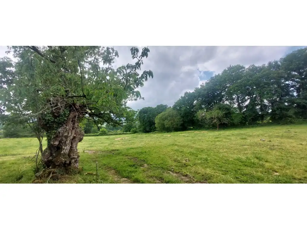 Casa o xalet en venda en Silleda