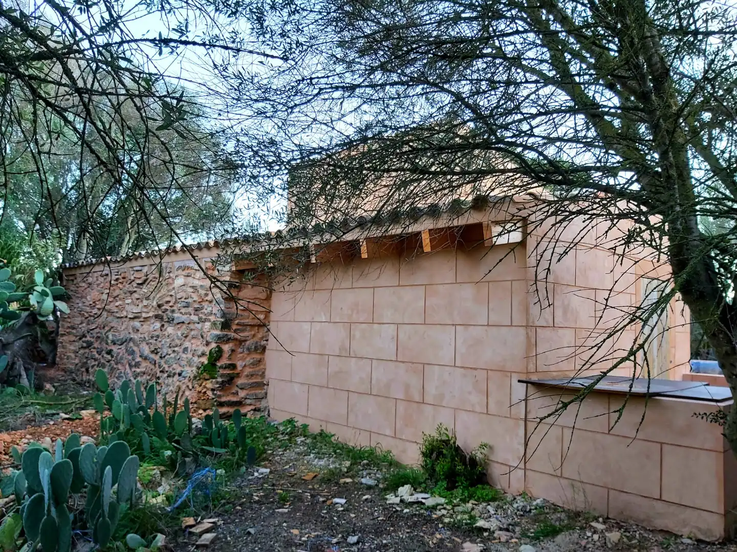Vista exterior de Finca rústica en venta en Campos