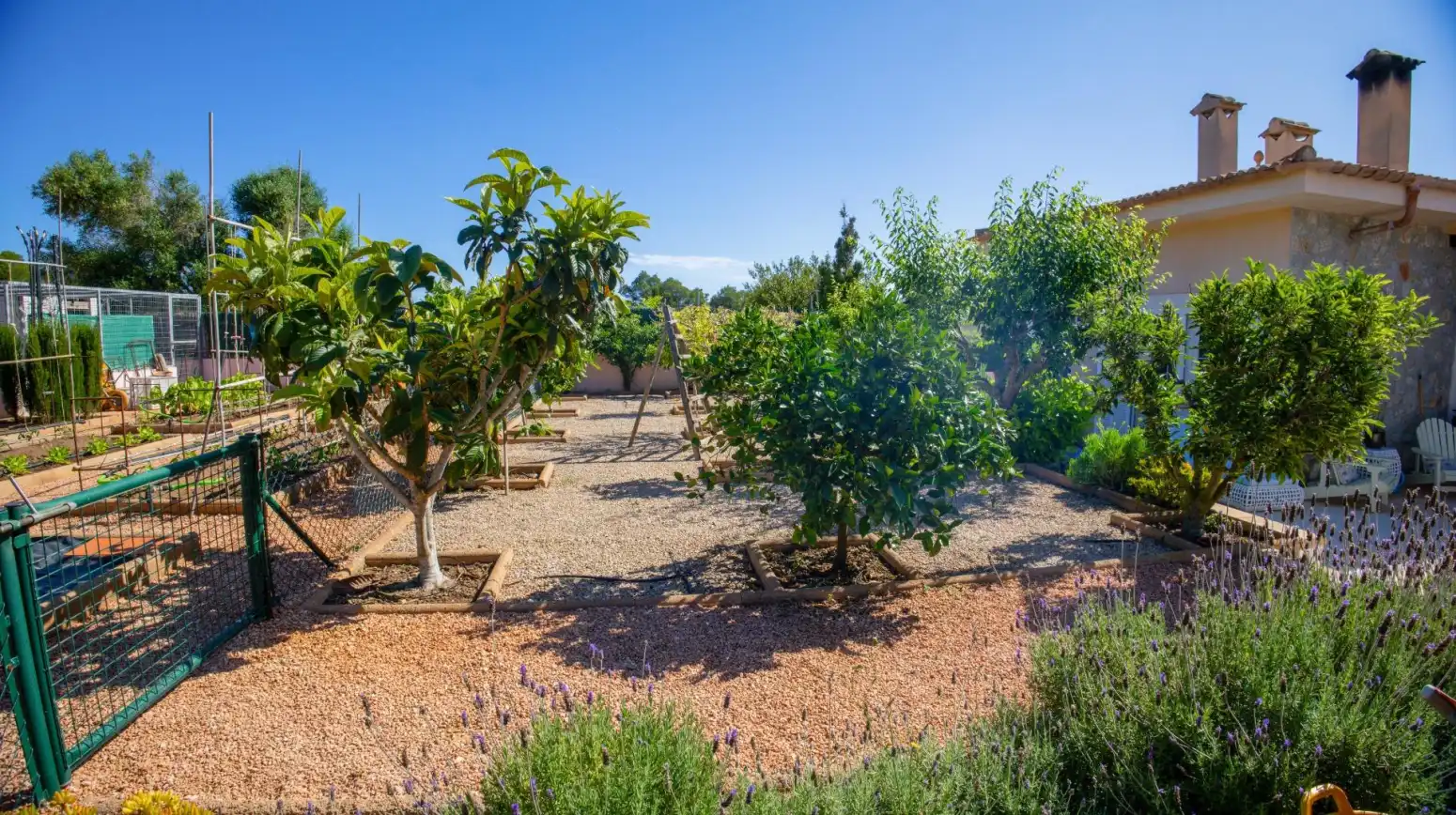 Jardín de Casa o chalet en venta en Santa Margalida con Aire acondicionado, Terraza y Trastero