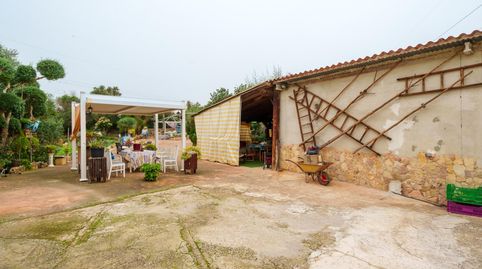 Foto 3 de Finca rústica en venta en Marratxã­ - Polã­gono, 4, Sa Cabaneta, Marratxí