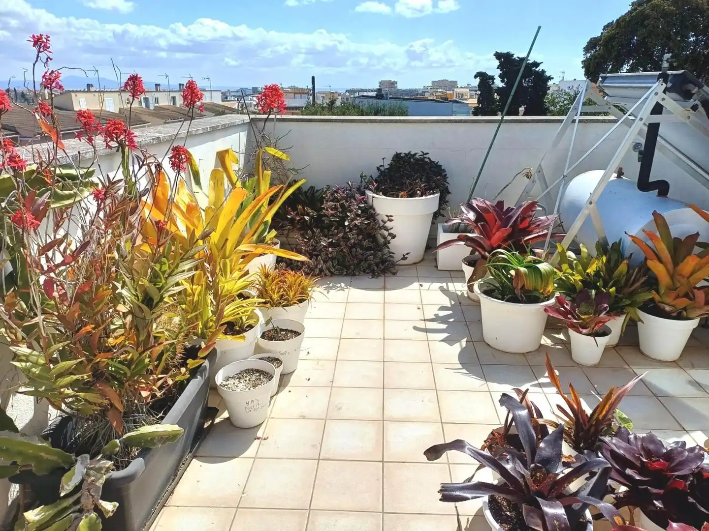 Terrace of Detached homes for sale in  Palma de Mallorca  with Air Conditioner, Heating and Private garden