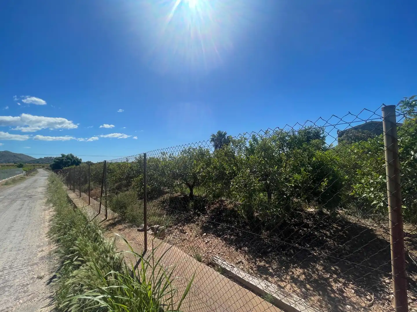 Grundstücke zum Verkauf in Castellón de la Plana / Castelló de la Plana