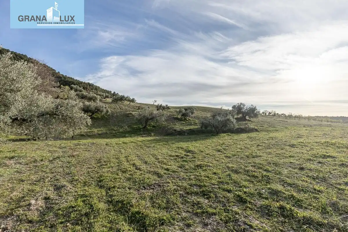 Rustikales Grundstück zum Verkauf in Monachil pueblo, imagen 11