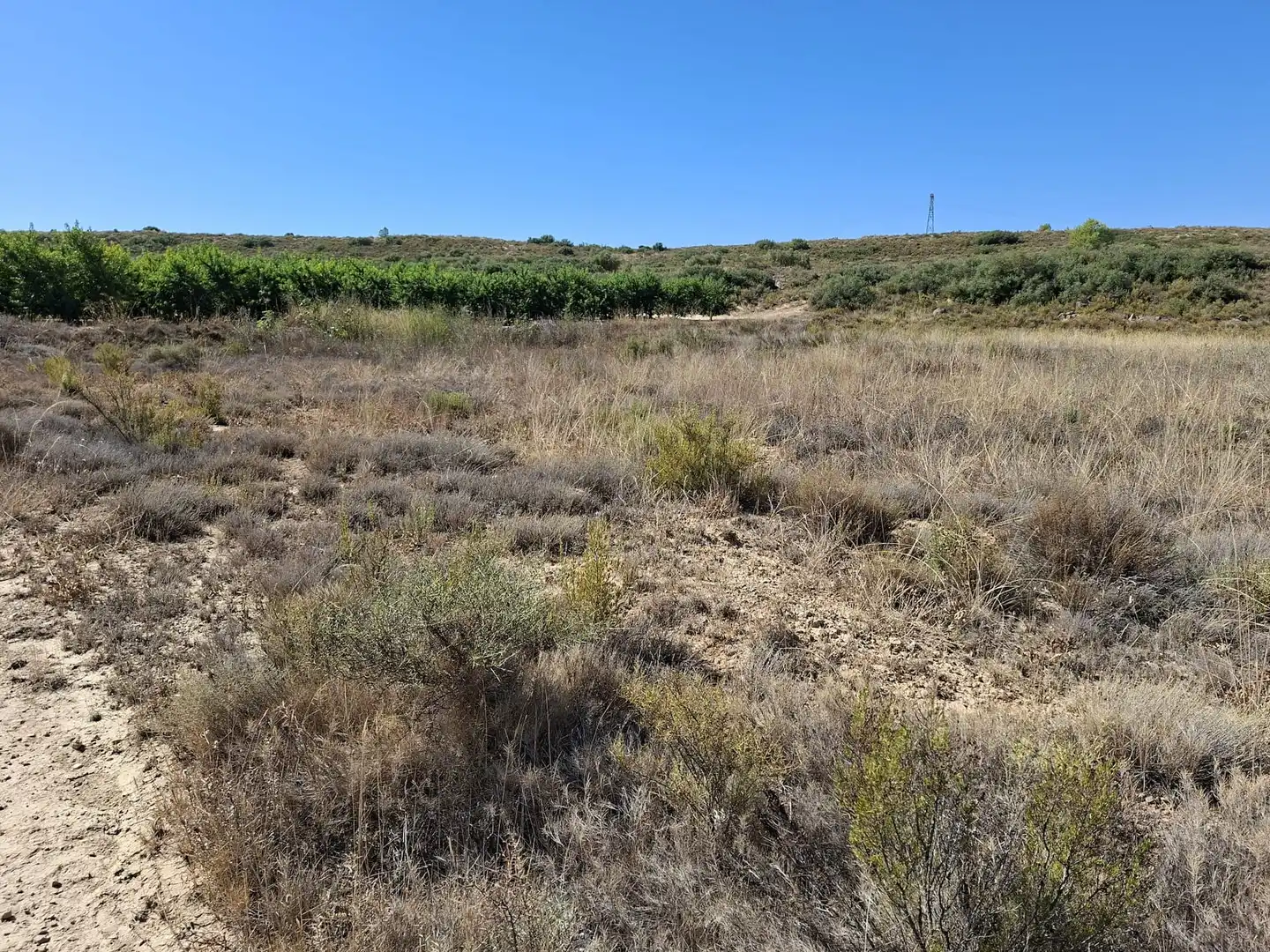 Terreno rustico in vendita a N/A, imagen 2