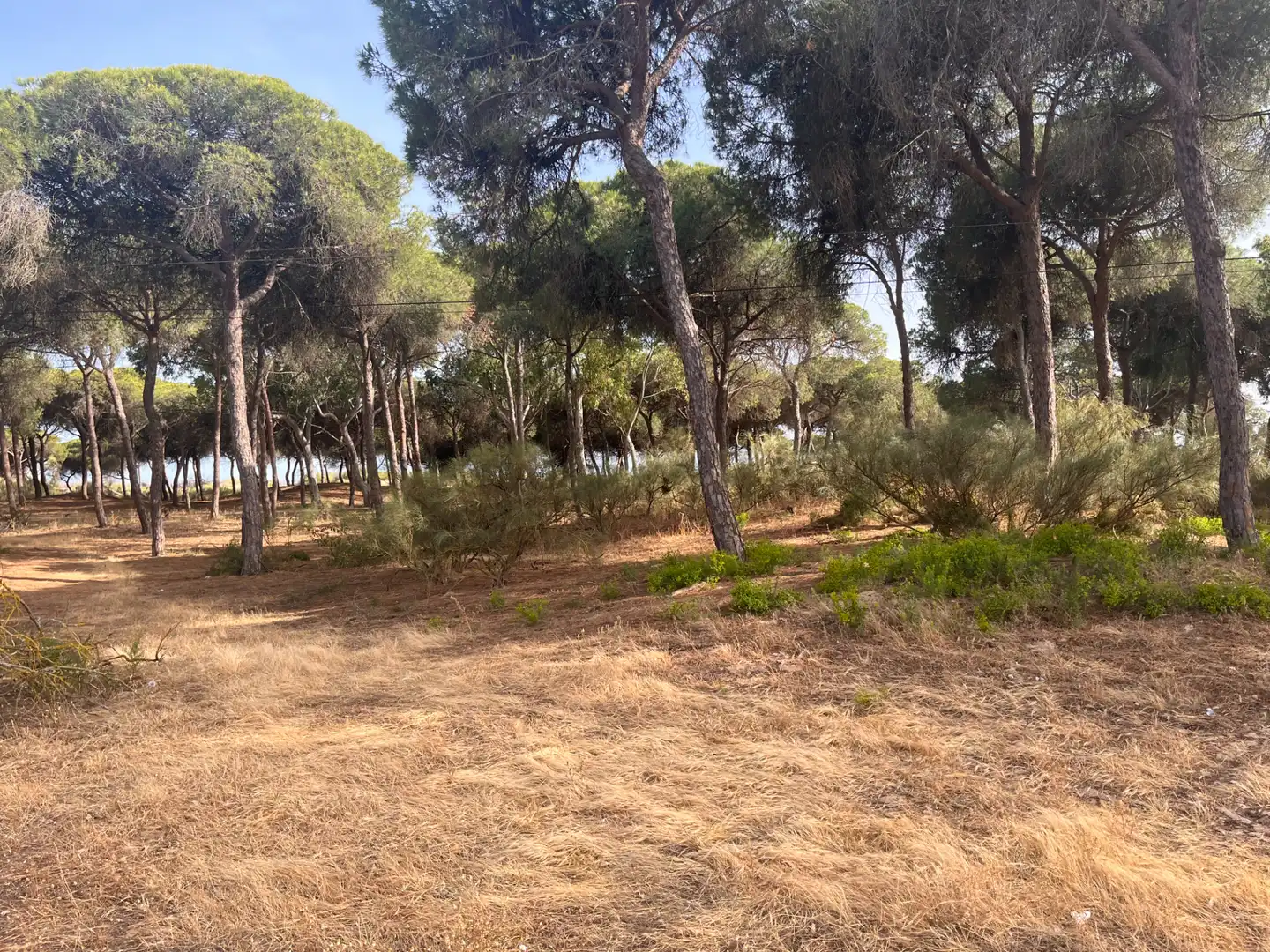 Casa o chalet en venta en Islantilla con Amueblado