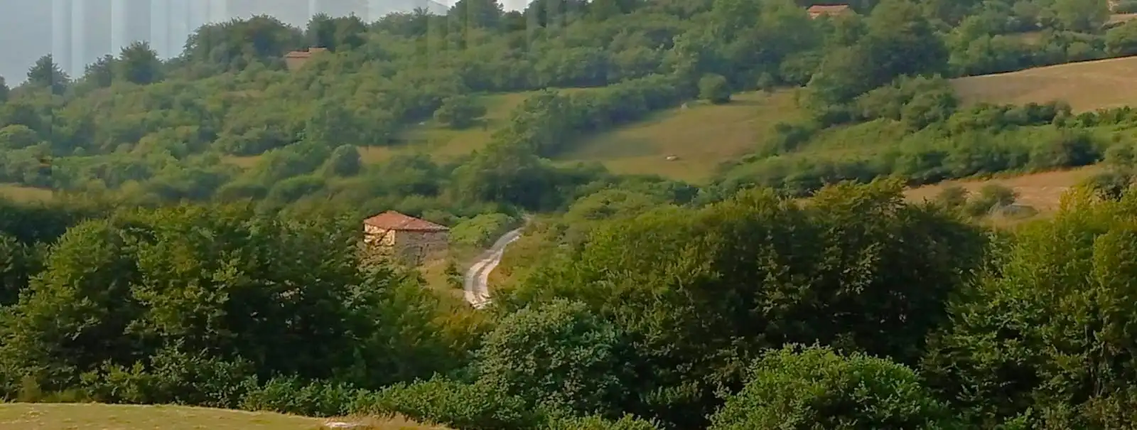 Vista exterior de Casa o chalet en venta en Polaciones con Jardín privado