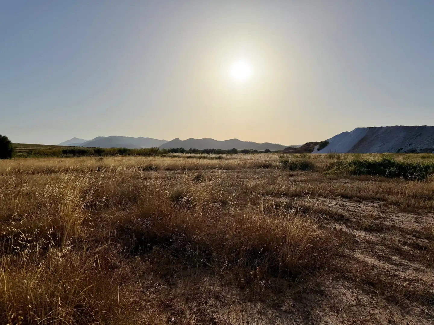 Rural land for sale in Algueña, imagen 5