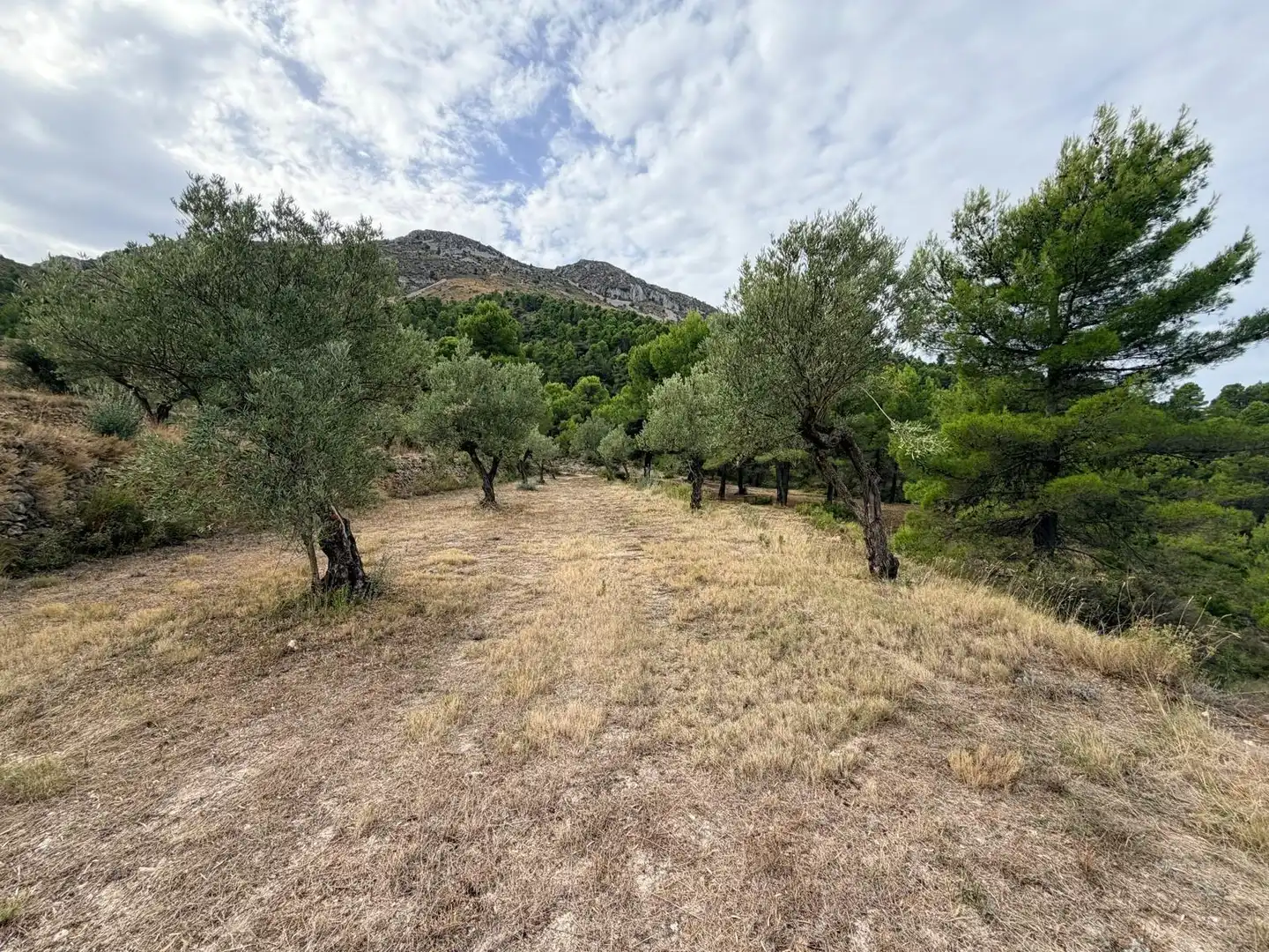 Residencial en venta en Fageca, Alicante