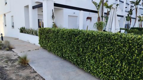Foto 2 de Planta baixa en venda a Avenida Premios Principe de Asturias, 41, Terrazas de la Torre Golf, Torre-Pacheco