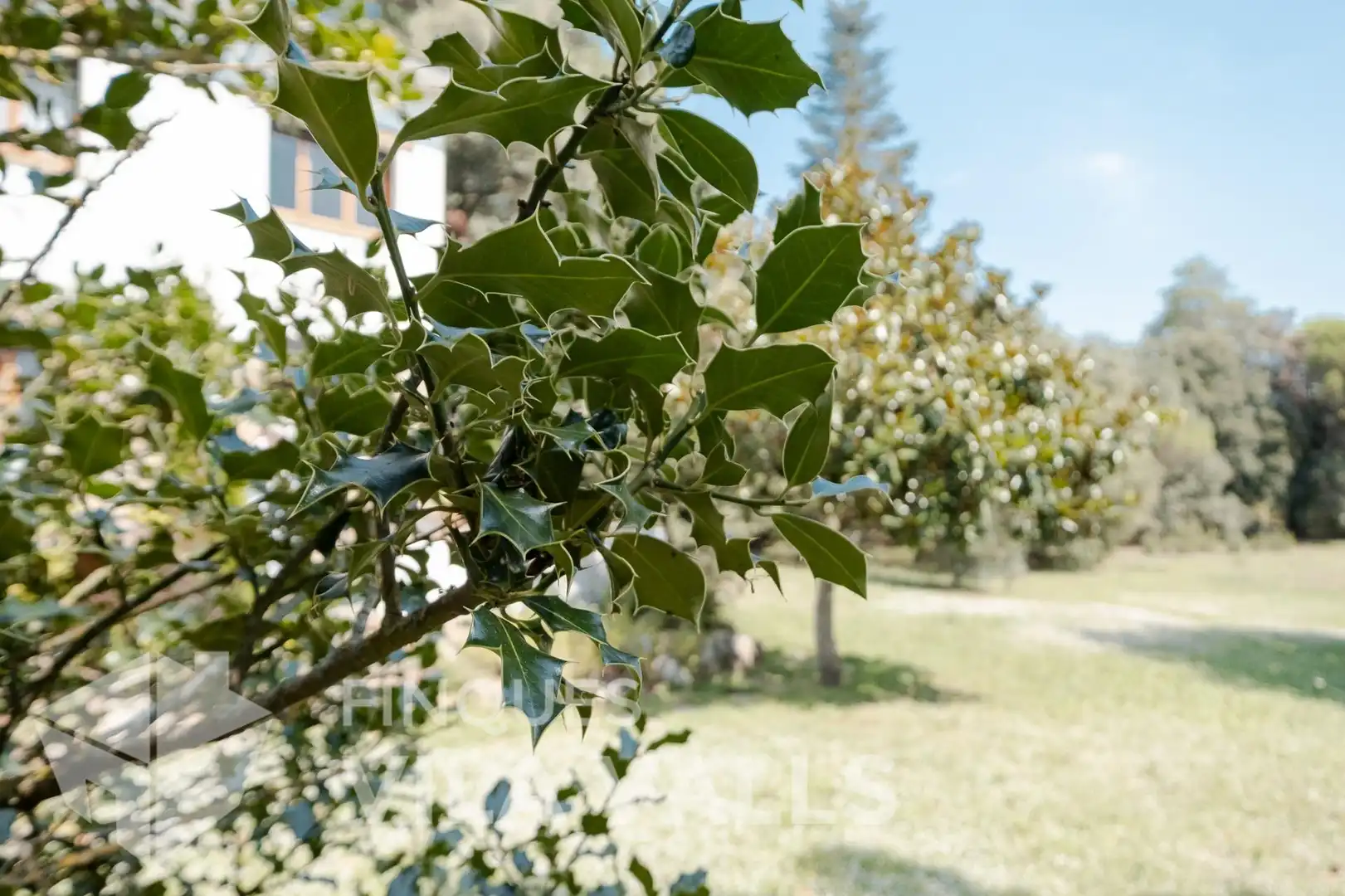 Jardí de Casa o xalet en venda en Sant Quirze Safaja amb Jardí privat