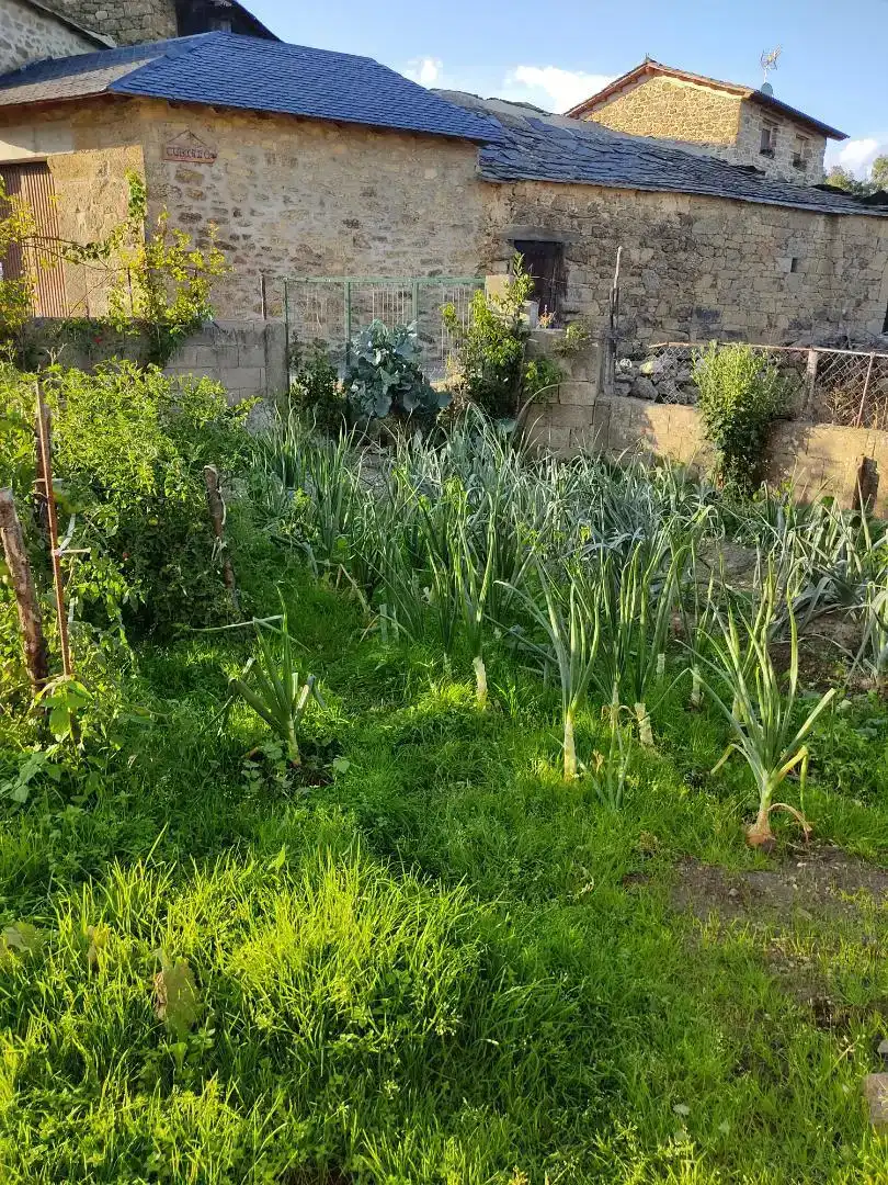Jardín de Casa o chalet en venta en Muelas de los Caballeros con Trastero, Horno y Lavadora