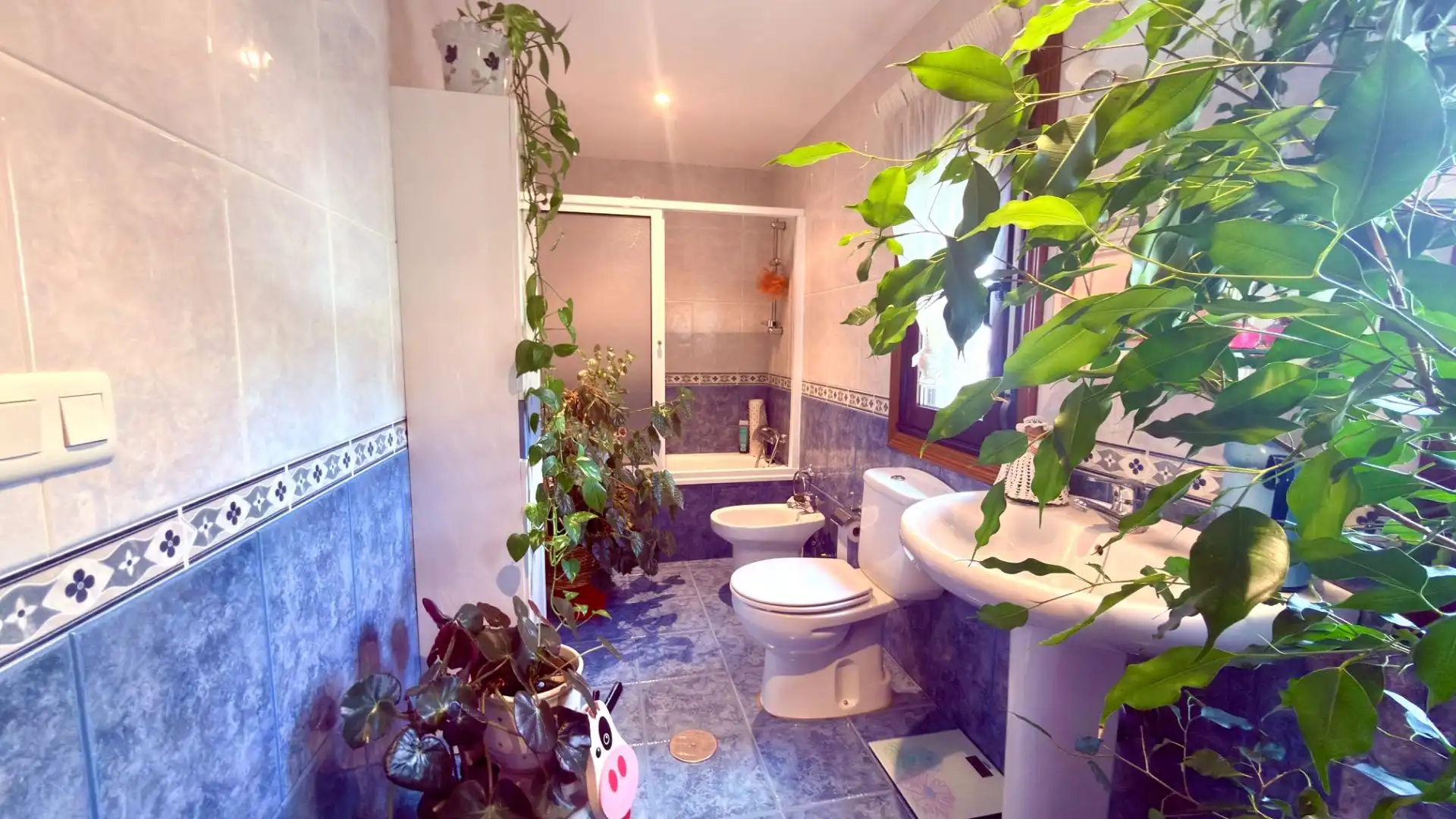 Bathroom of Houses for sale in Esgos  with Private garden, Parquet flooring and Furnished