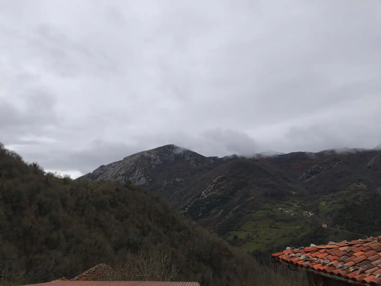 Vista exterior de Casa o chalet en venta en Proaza con Piscina